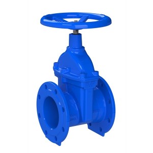 Gate Valve