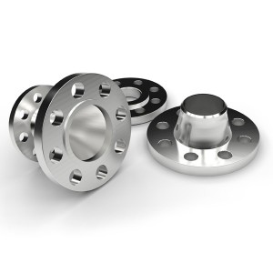 Companion Flange