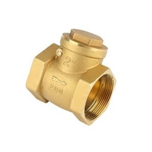  Check Valve